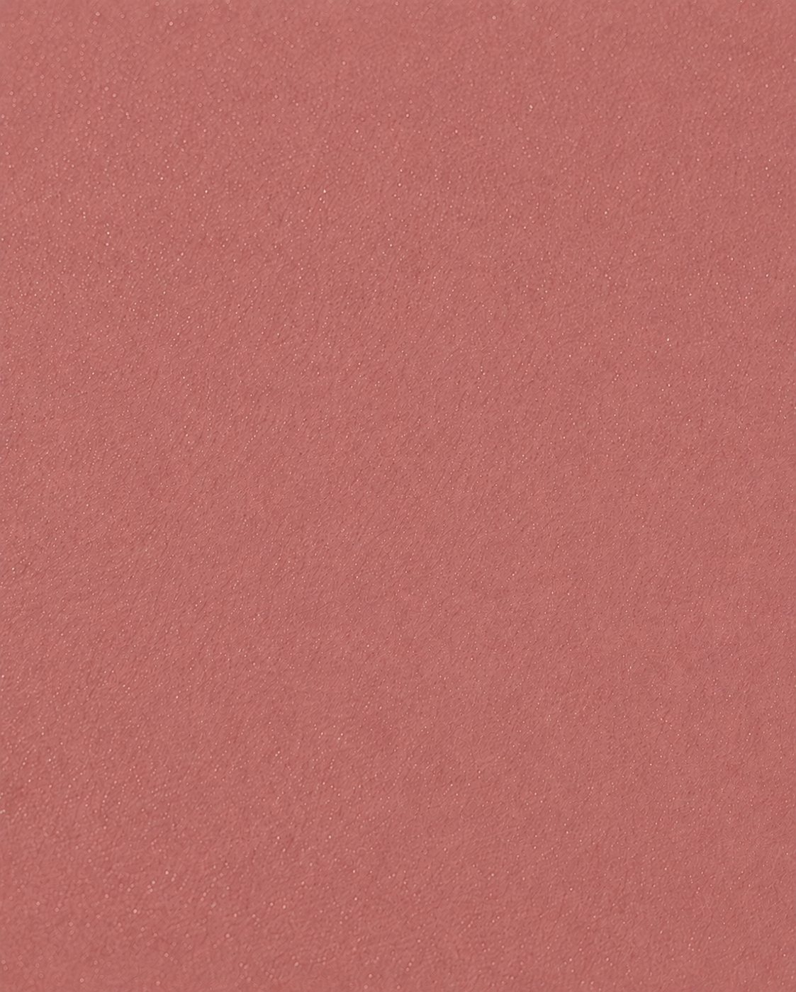 Blush Whisper Rose