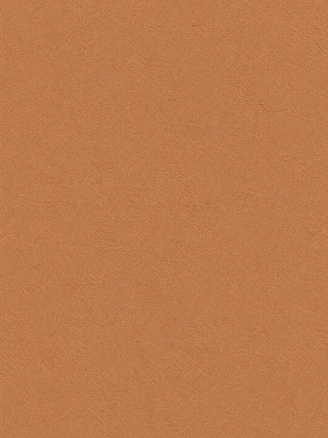 Bronzer Golden Dune