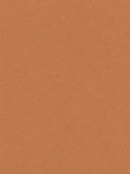 Bronzer Golden Dune