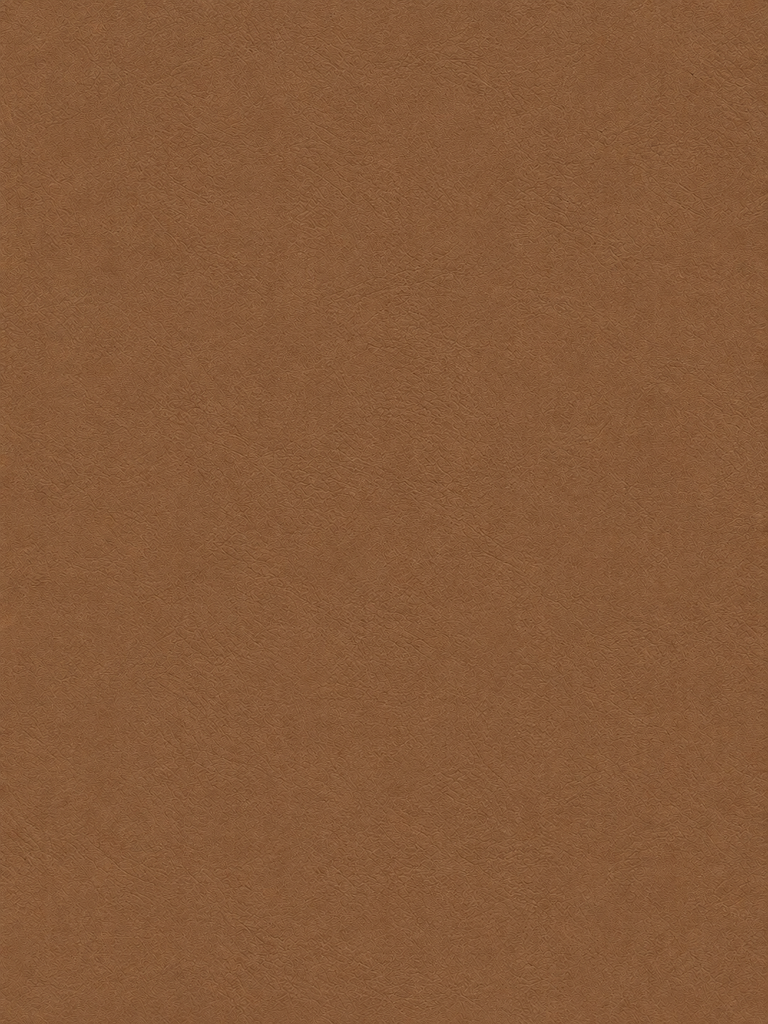 Bronzer Mocha Veil