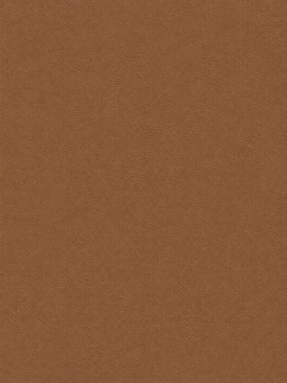 Bronzer Mocha Veil